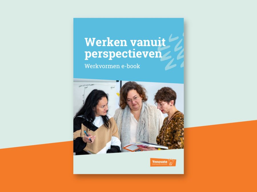 Werken vanuit perspectieven (e-book download)