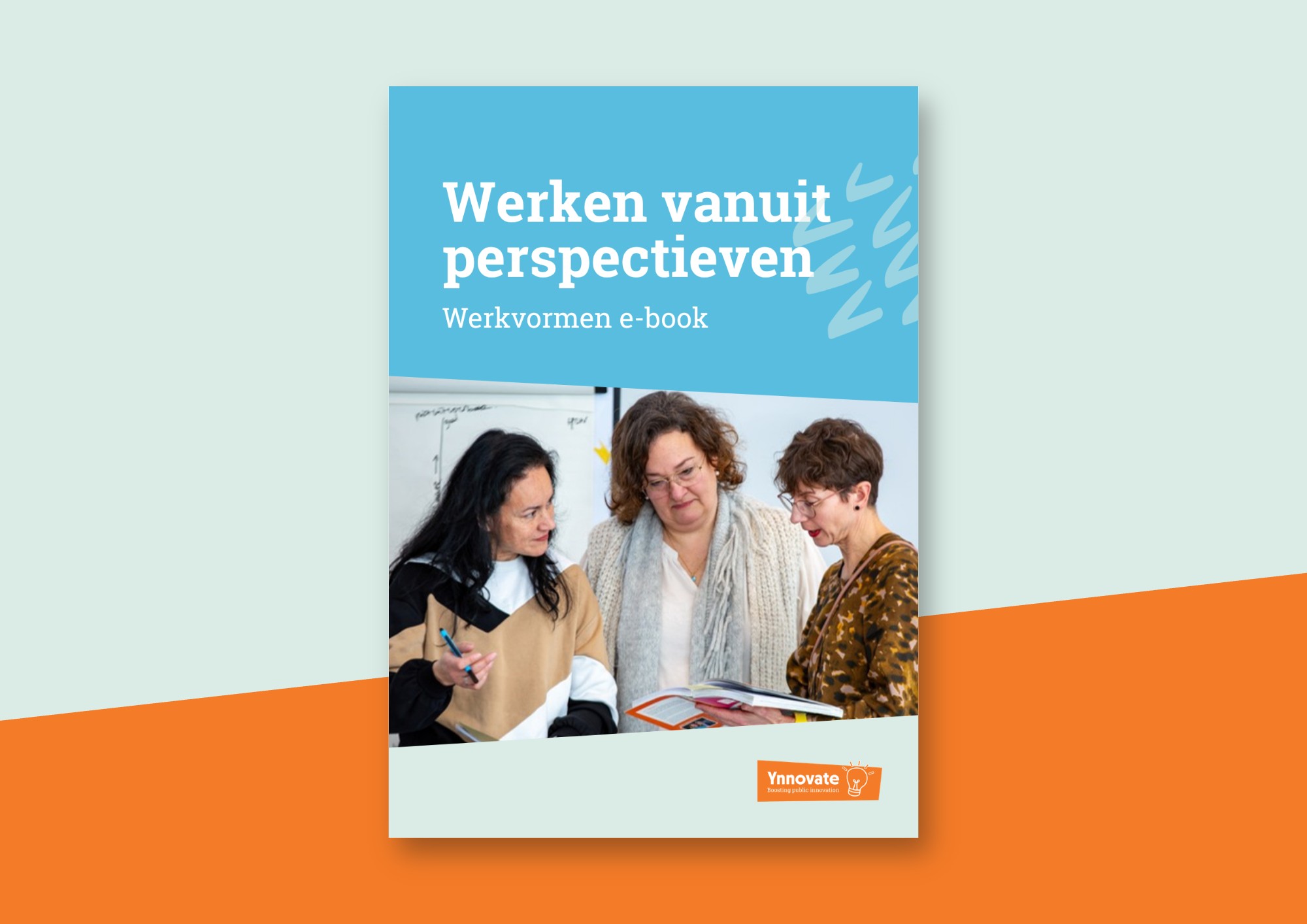 Werken vanuit perspectieven (e-book download)