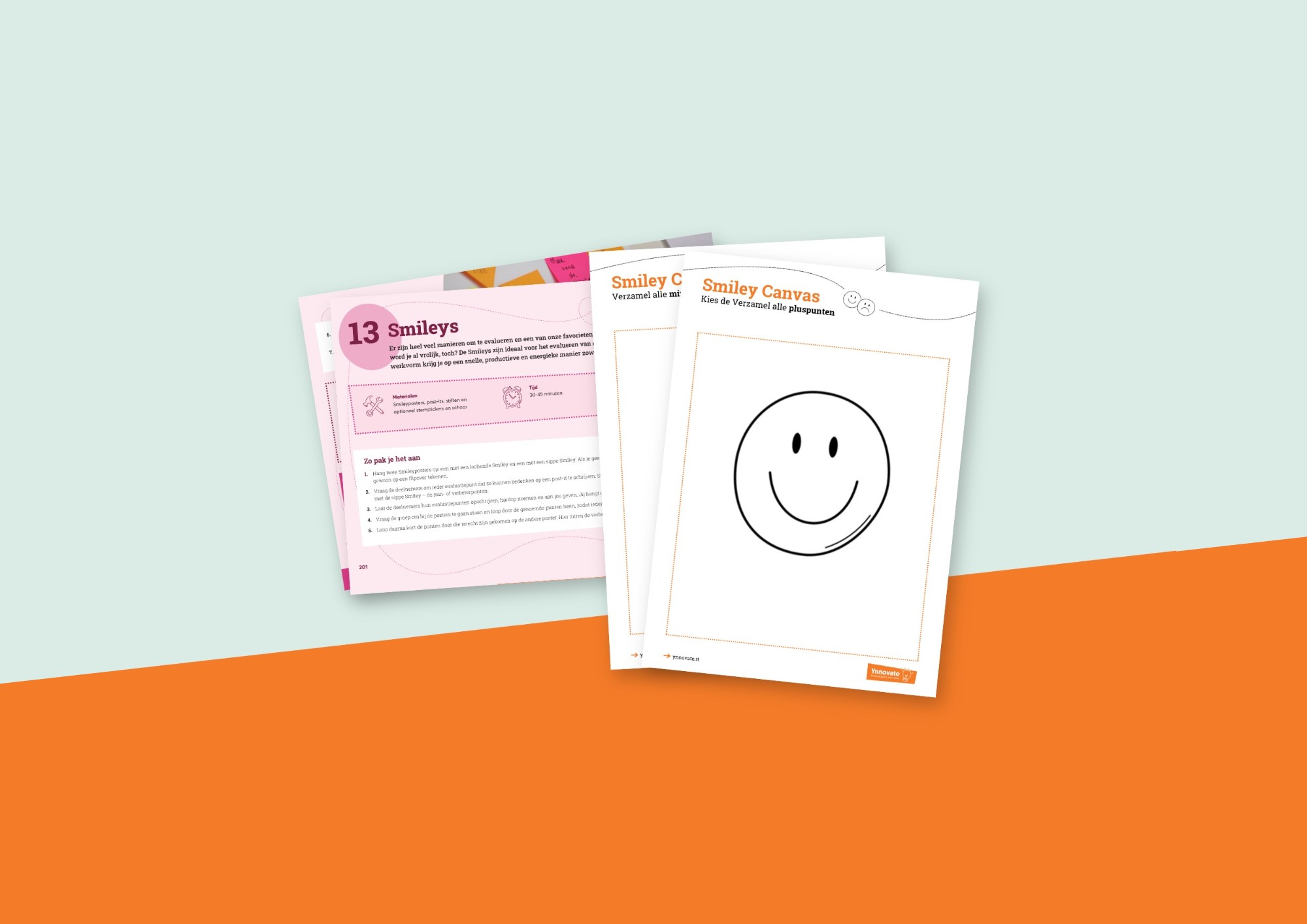 Werkvorm Smileys: uitleg uit het boek en twee posters
